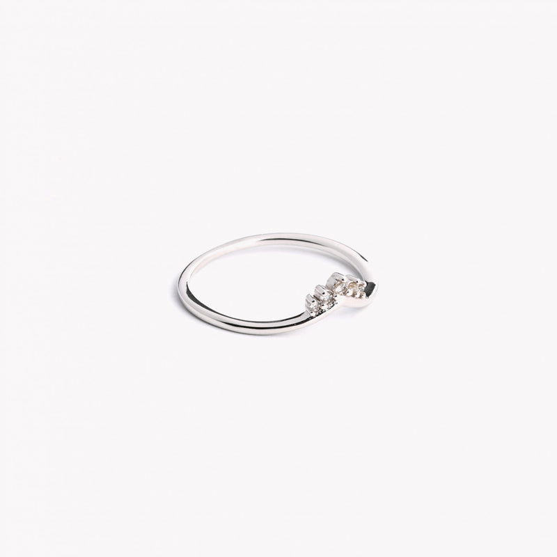 Anillo Pico Plata 925s